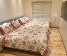 London Luxury Apartments 1min walk from Underground, with FREE PARKING FREE WIFI