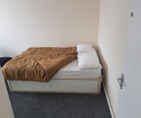 Lovely Large Cosy Room in Central London