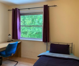 Room in BB - Double Bedroom in House Share to let at Stepney Green