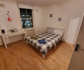 Cheerful large room in kennington